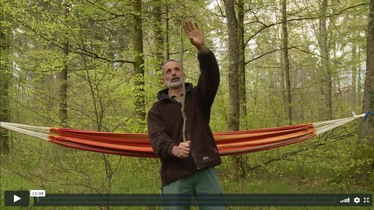 Videodokumentation Wald Bürgergemeinde Basadingen-Schlattingen